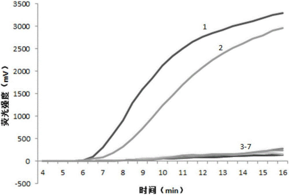 Primer and probe for detecting peste des petits ruminants virus by virtue of RPA (Recombinase Polymerase Amplification) technique