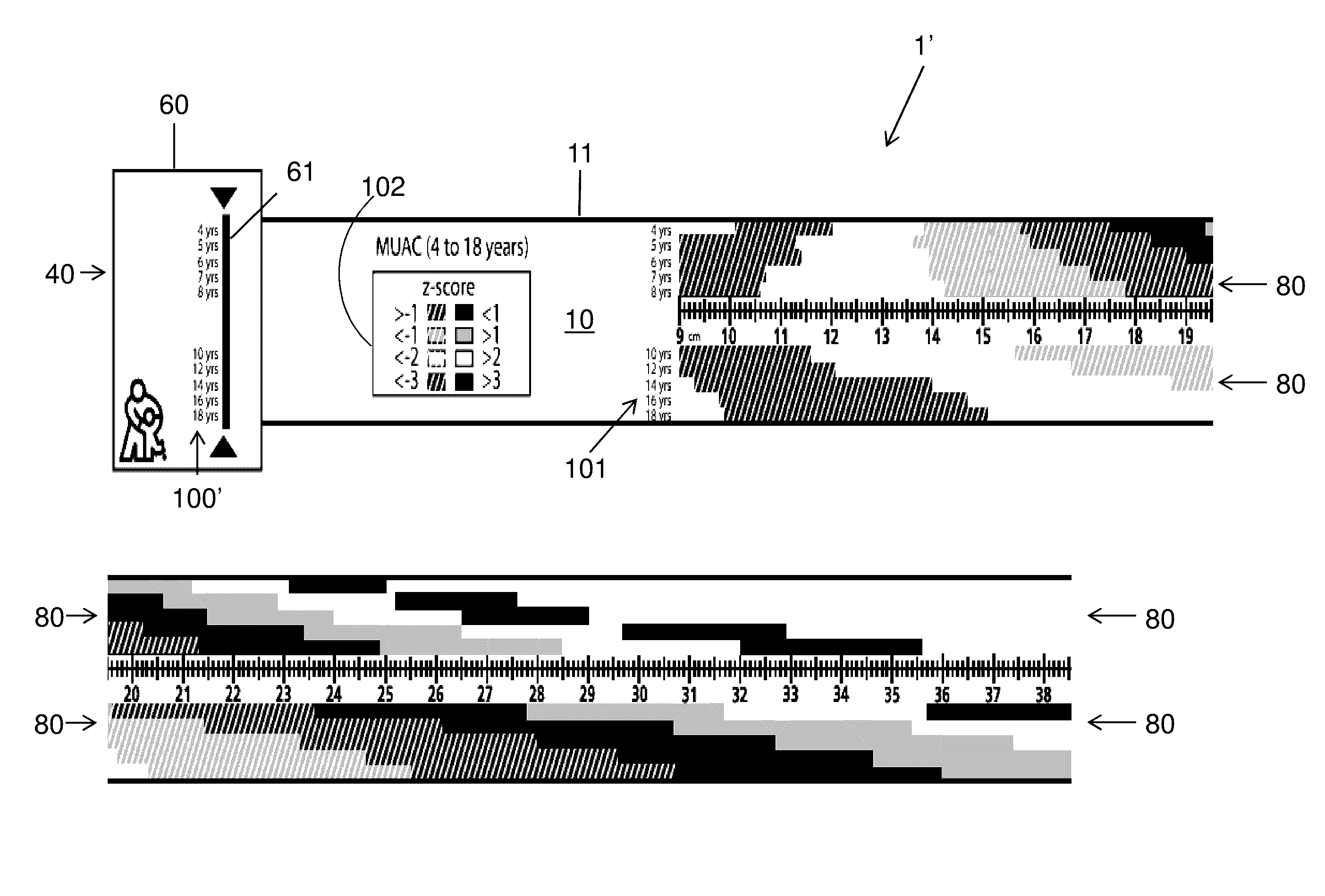 Muac z-score tape and methods of use thereof