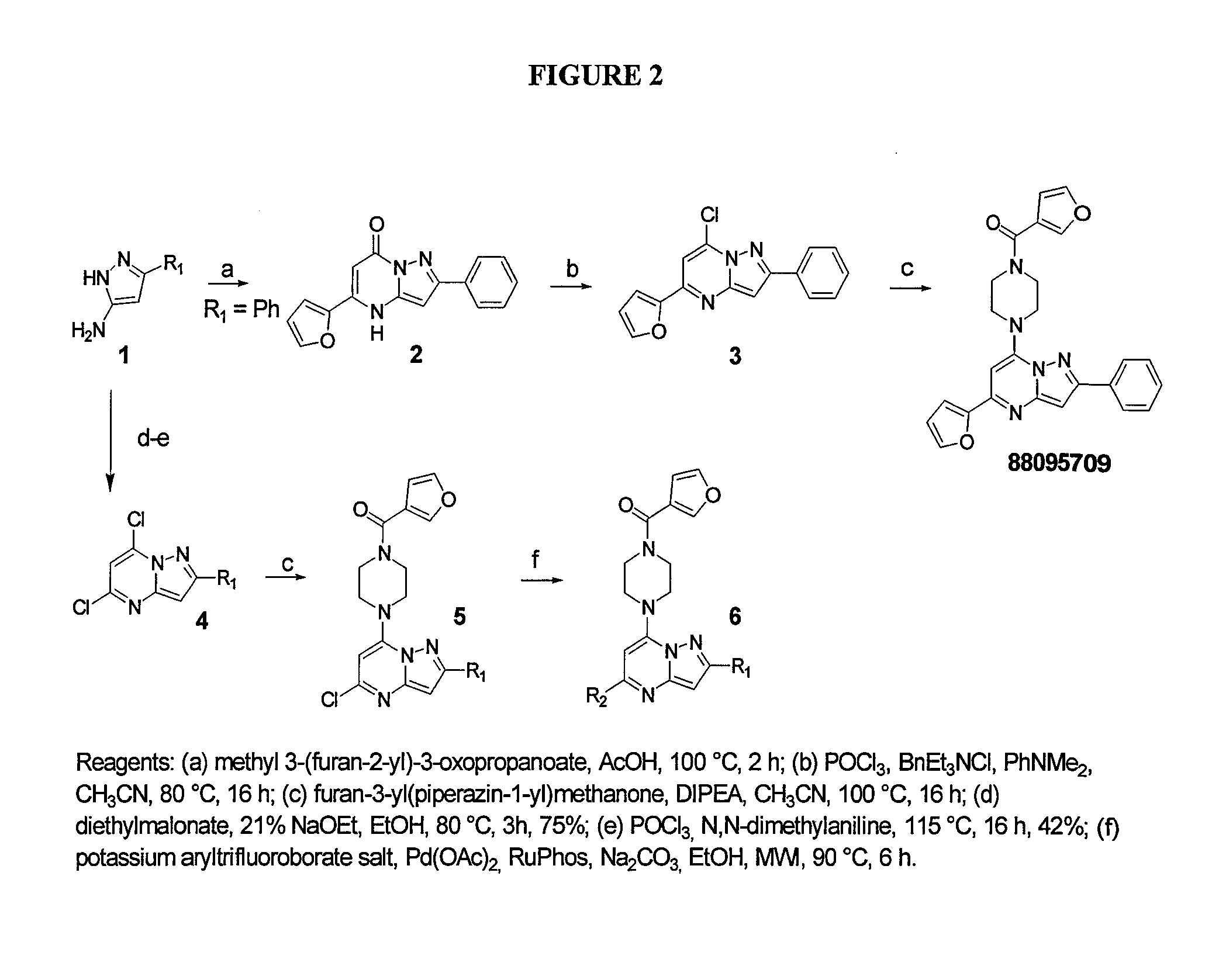 Selective efflux inhibitors and related pharmaceutical compositions and methods of treatment