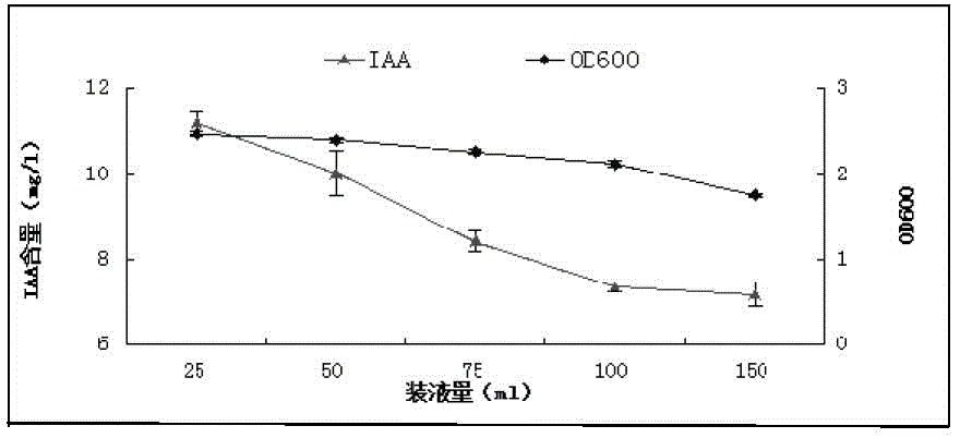 Corn rhizosphere growth promoting bacteria YM3 and application thereof