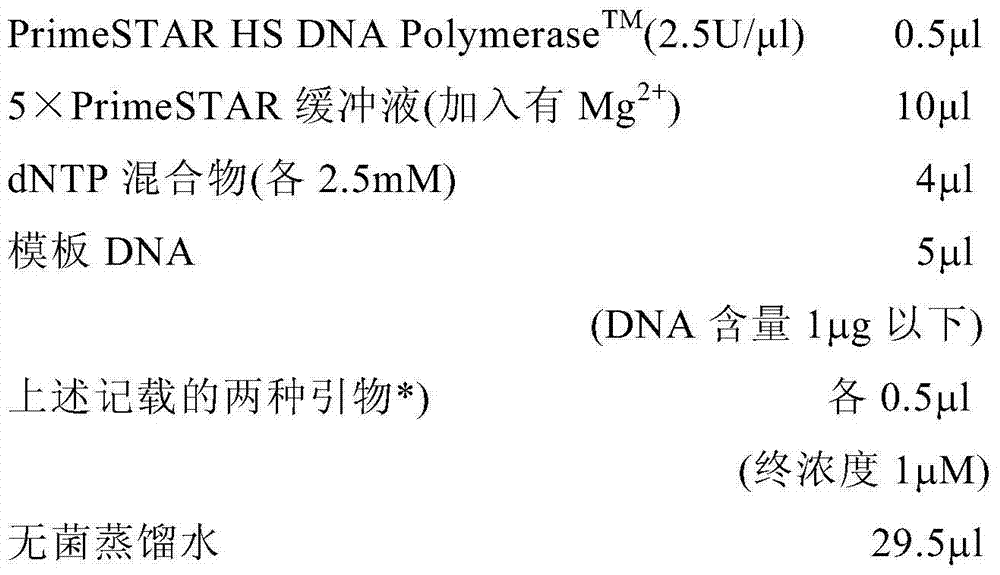 Transformant of coryneform bacterium and method for producing valine by using same