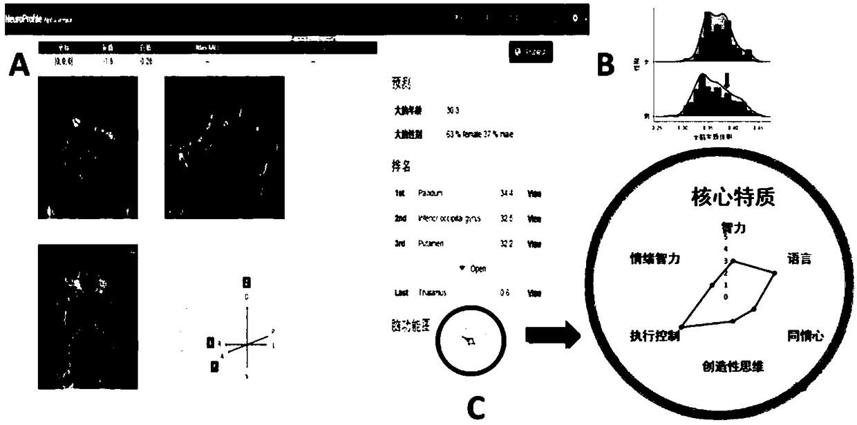 System and method for predicting individual core characteristics based on multi-modal data