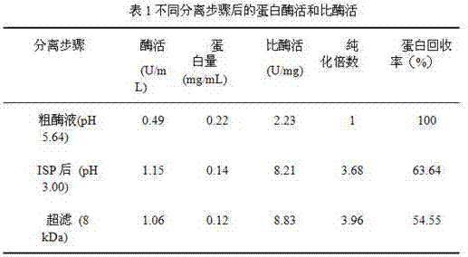 Method of quickly purifying protease of viscera of sleeve-fish and application