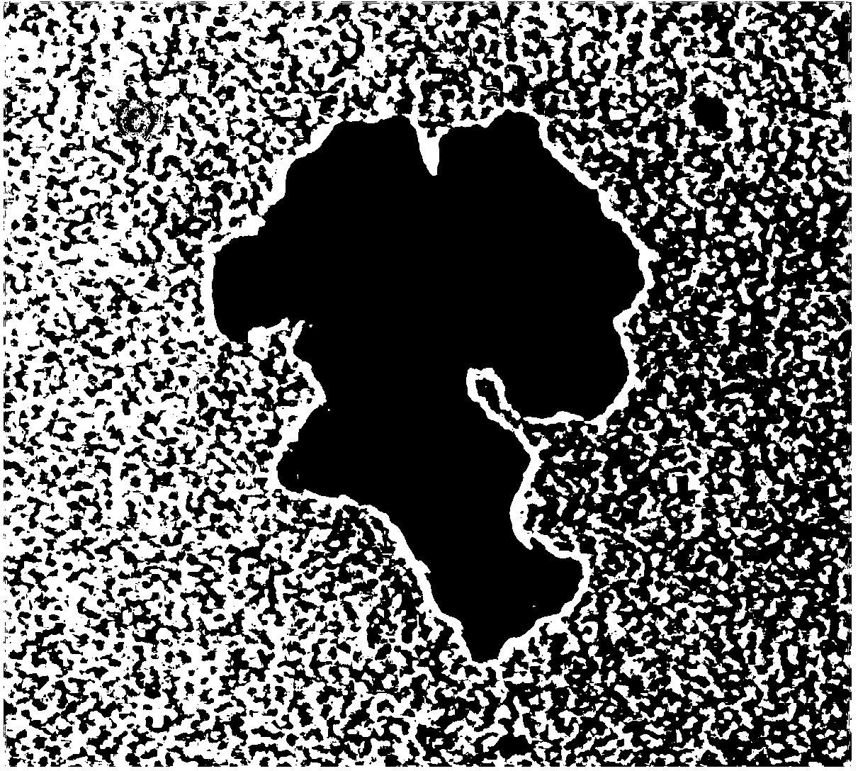 Phenylethanolamine A magnetic molecular imprinted polymer microsphere as well as preparation method and application thereof