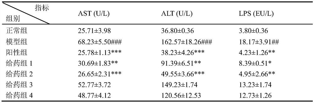 Medicine and bacterium composition for treating alcoholic liver injury as well as preparation method and application of composition