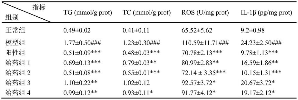 Medicine and bacterium composition for treating alcoholic liver injury as well as preparation method and application of composition