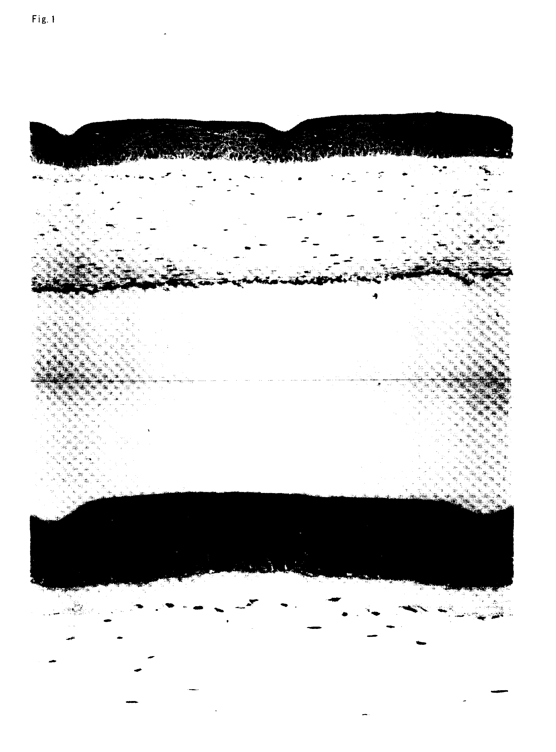 Biological Tissue Sheet, Method Of Forming The Same And Transplantation Method By Using The Sheet