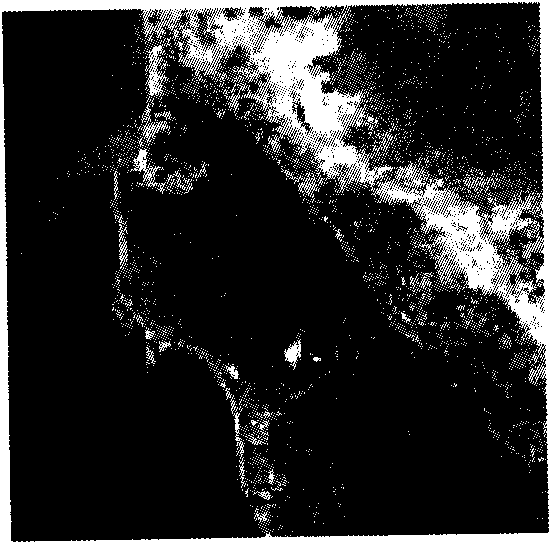 Remote sensing image amplification method based on PDE and wavelet