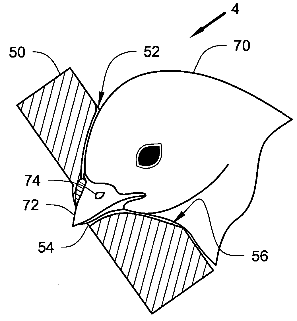 Apparatus and method for nasal delivery of compositions to birds