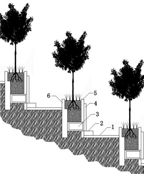 Method for constructing ecology landscape type cemetery