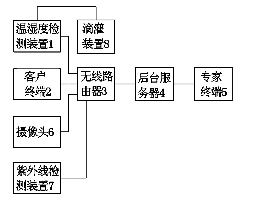 Potted flower remote detection system with drip irrigation device and multiple detection devices