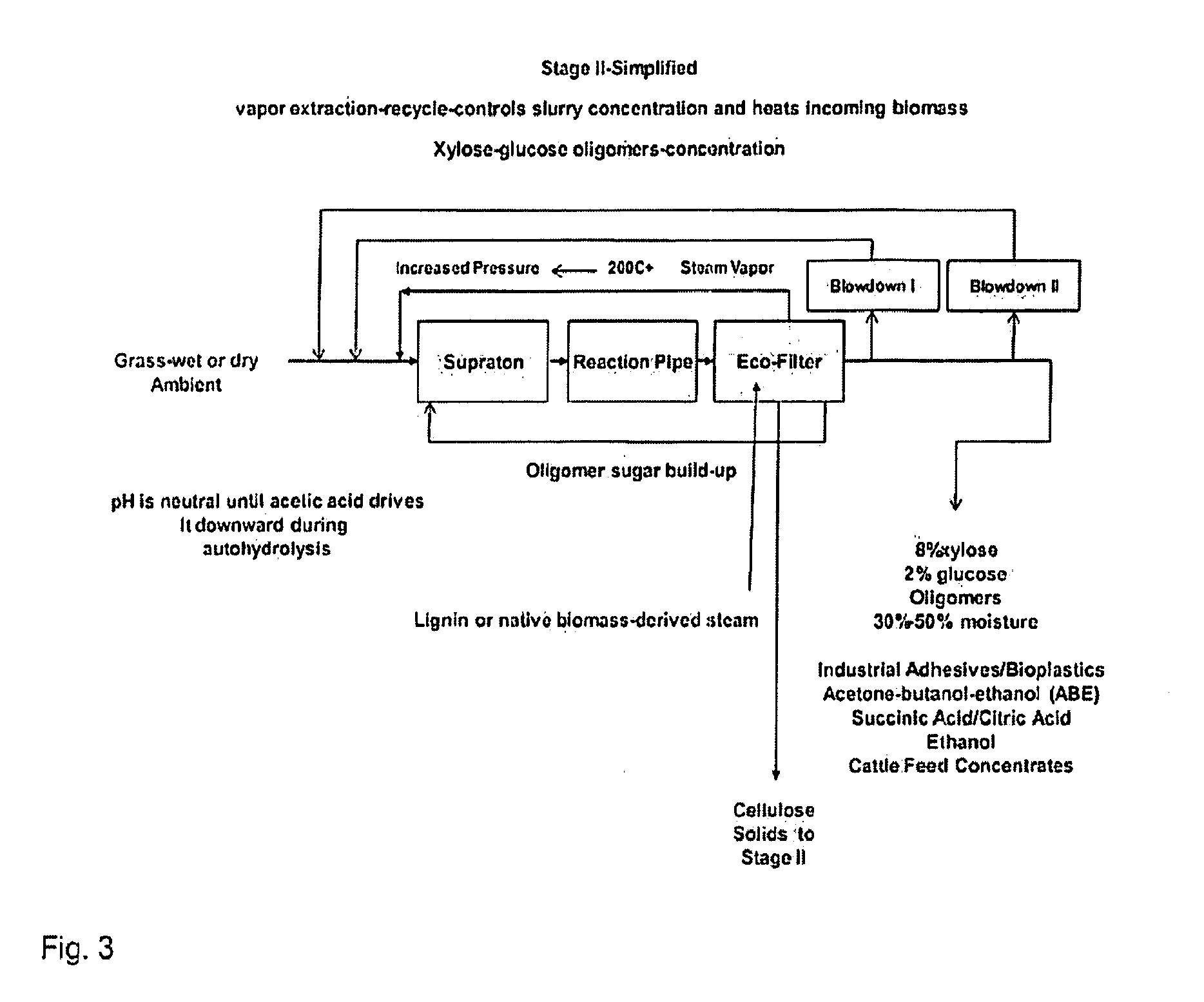 Advanced biorefinery process