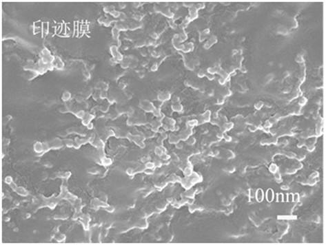 Method for preparing lithium ion imprinted membrane based on electrochemically switched ion exchange