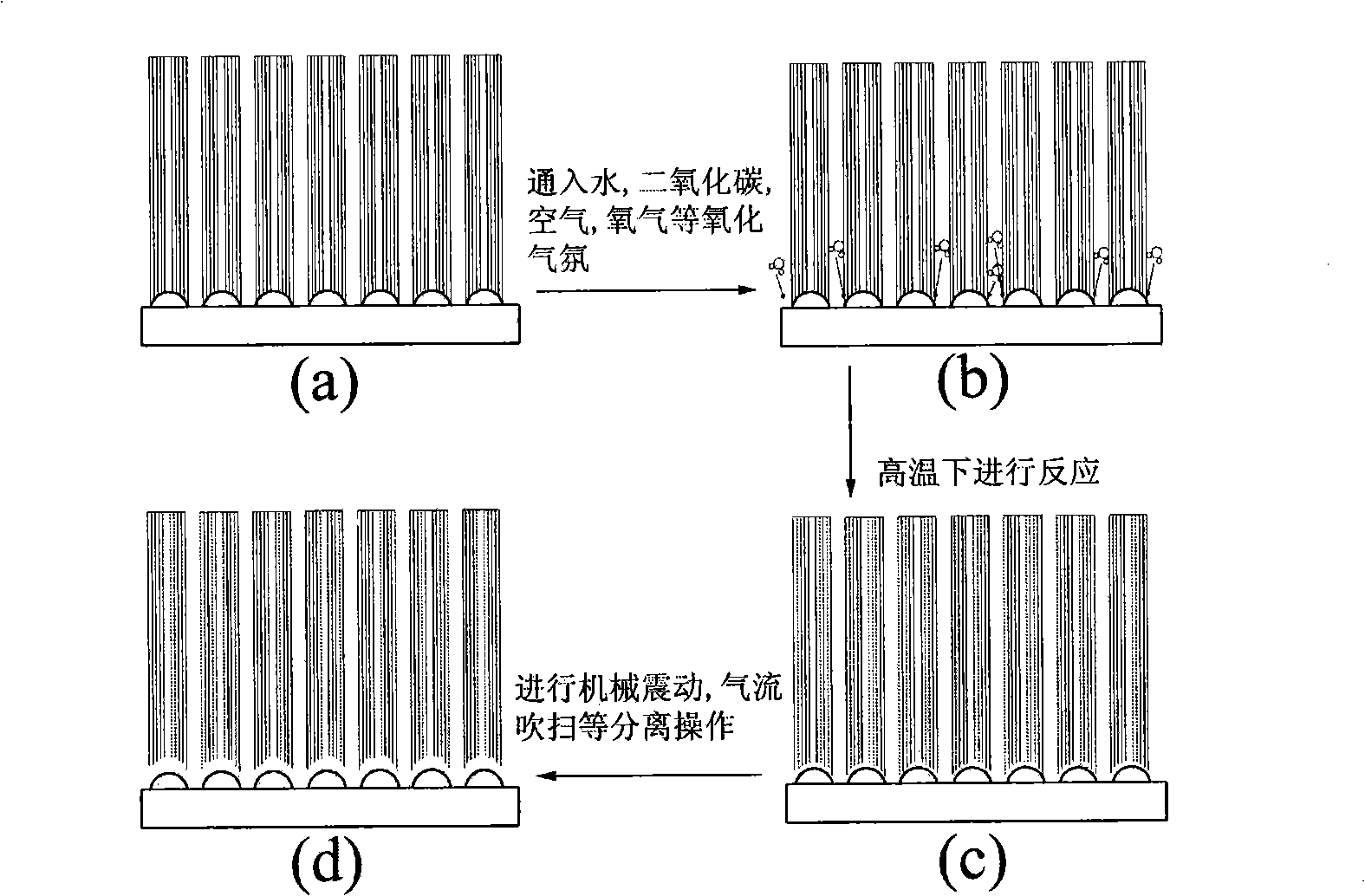 Oxidation treatment based method for separating carbon nano-tube array and substrate