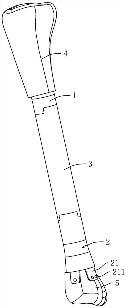 Tibial prosthesis with bone scale line reserved