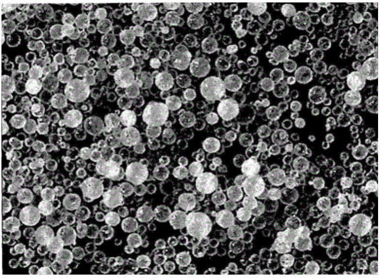 Catalyst used for olefin polymerization and preparation method thereof