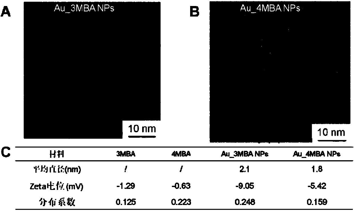 Gold nanoparticles activated by mercaptophenylboronic acid and preparation method and application of gold nanoparticles