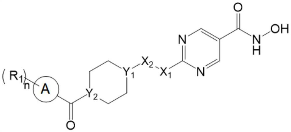 Hydroximic acid derivative and application thereof