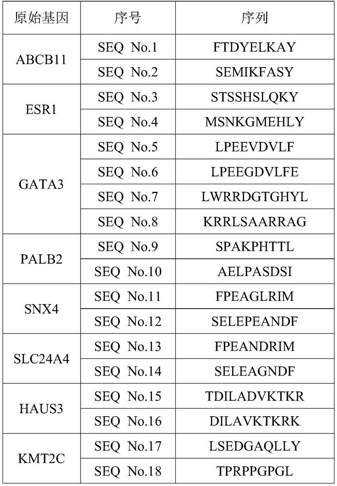 Antigen peptide related to breast cancer driver gene mutation and application of antigen peptide