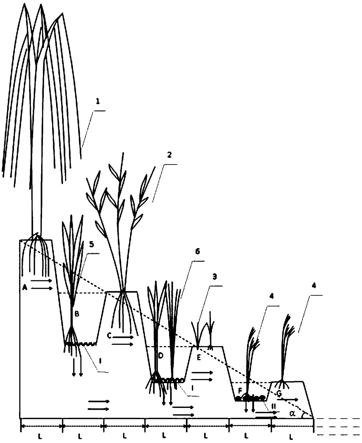 Steep slope buffer zone cascade treatment system and construction method for rain runoff collection and purification