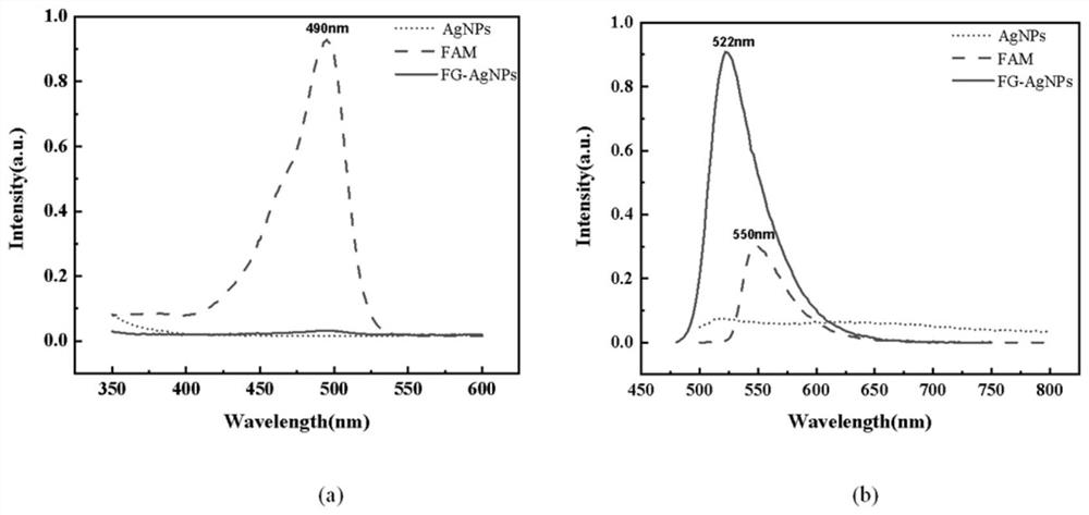 Carboxyfluorescein modified kidney clearance type silver nanoparticles, and preparation method and application thereof