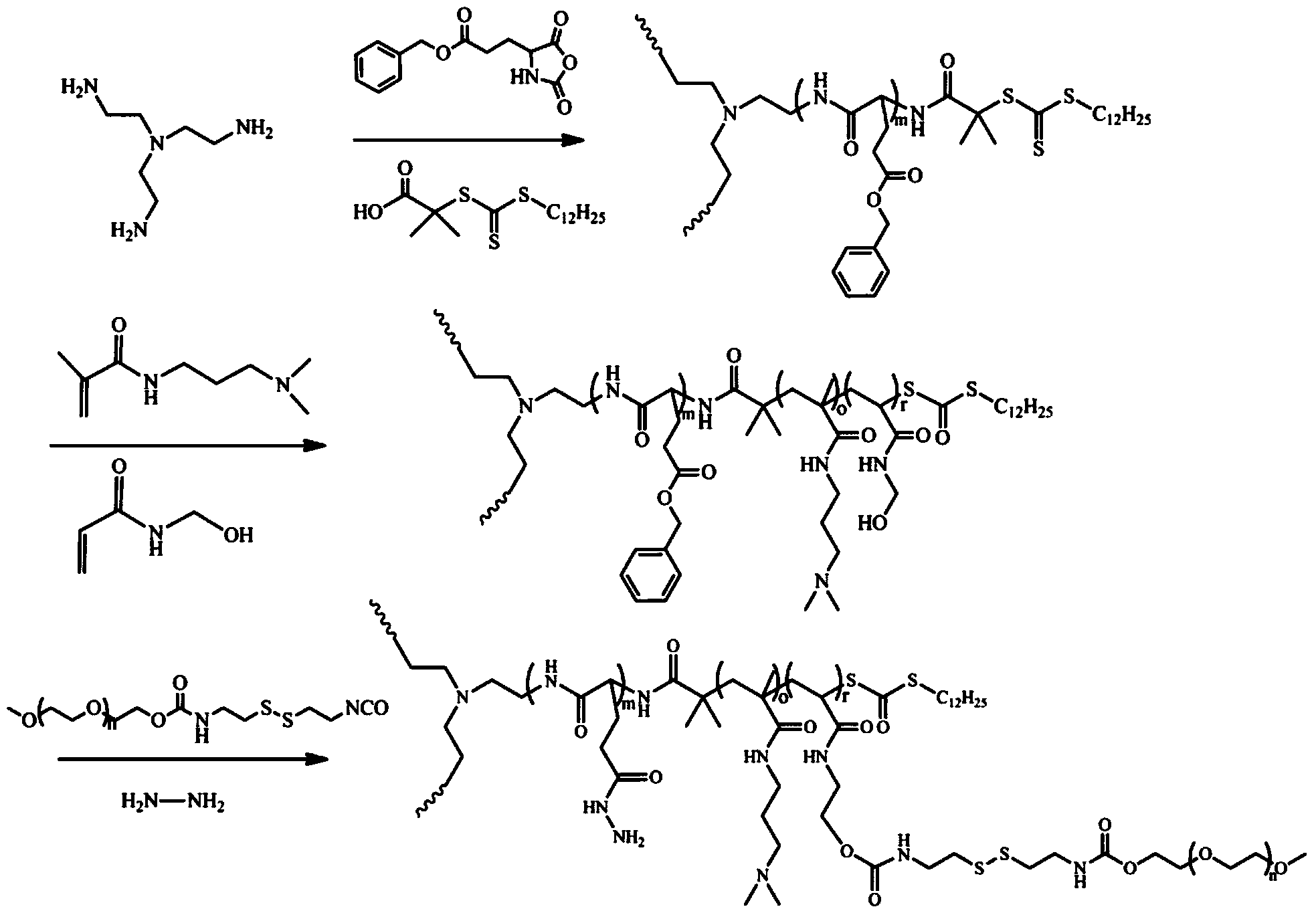 Three-arm star hydrophilic copolymer, and synthesis method and application thereof