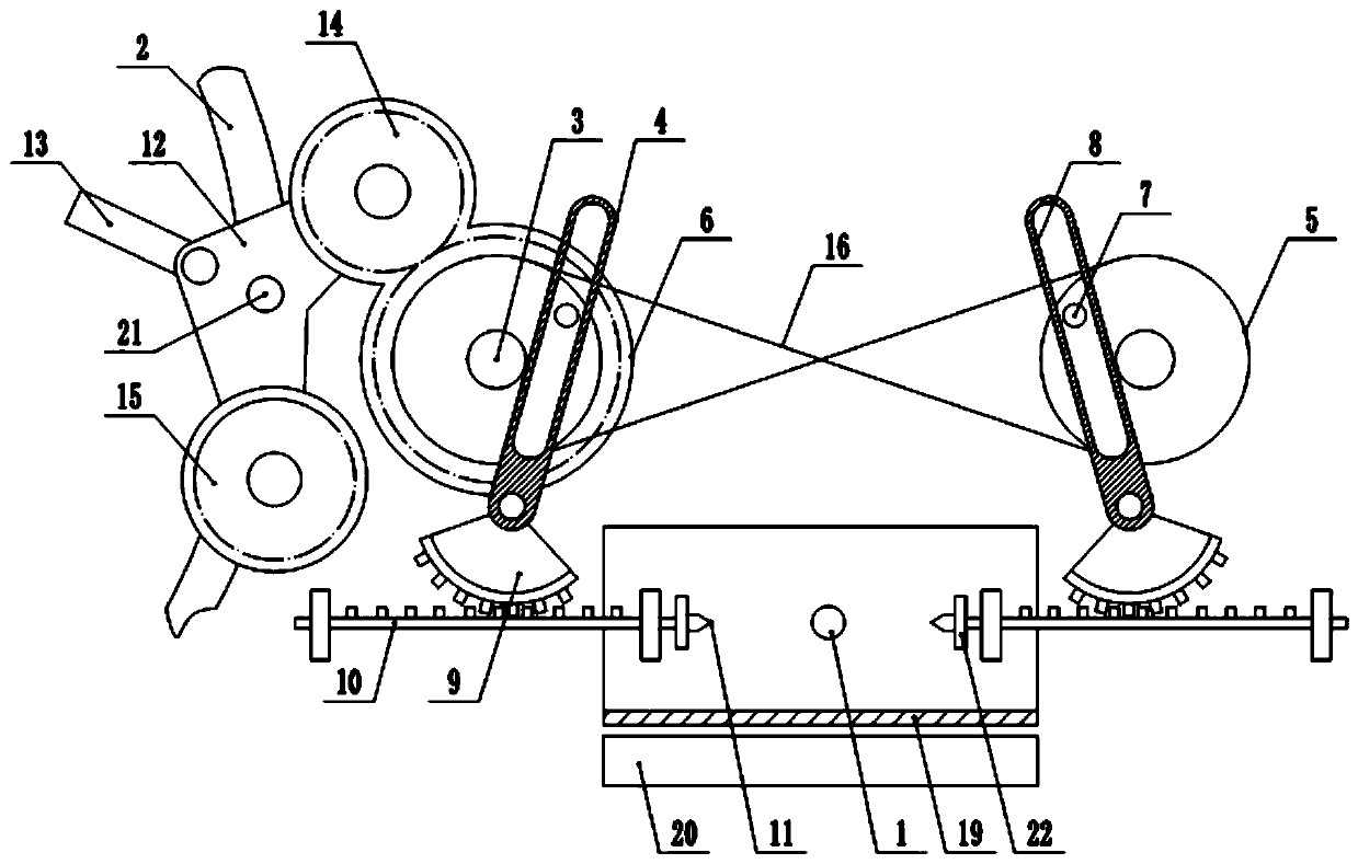 Feed cutting machine for giant salamander