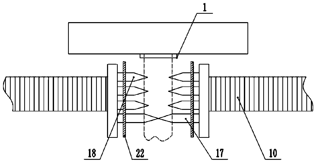 Feed cutting machine for giant salamander