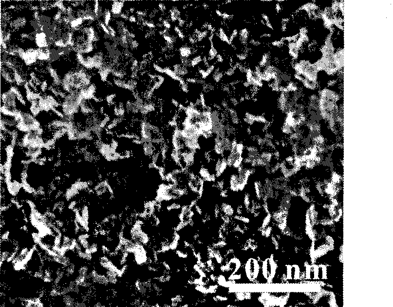 Titanium dioxide nanoplate and synthesizing method thereof