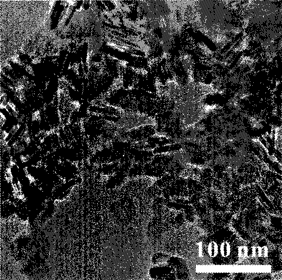 Titanium dioxide nanoplate and synthesizing method thereof