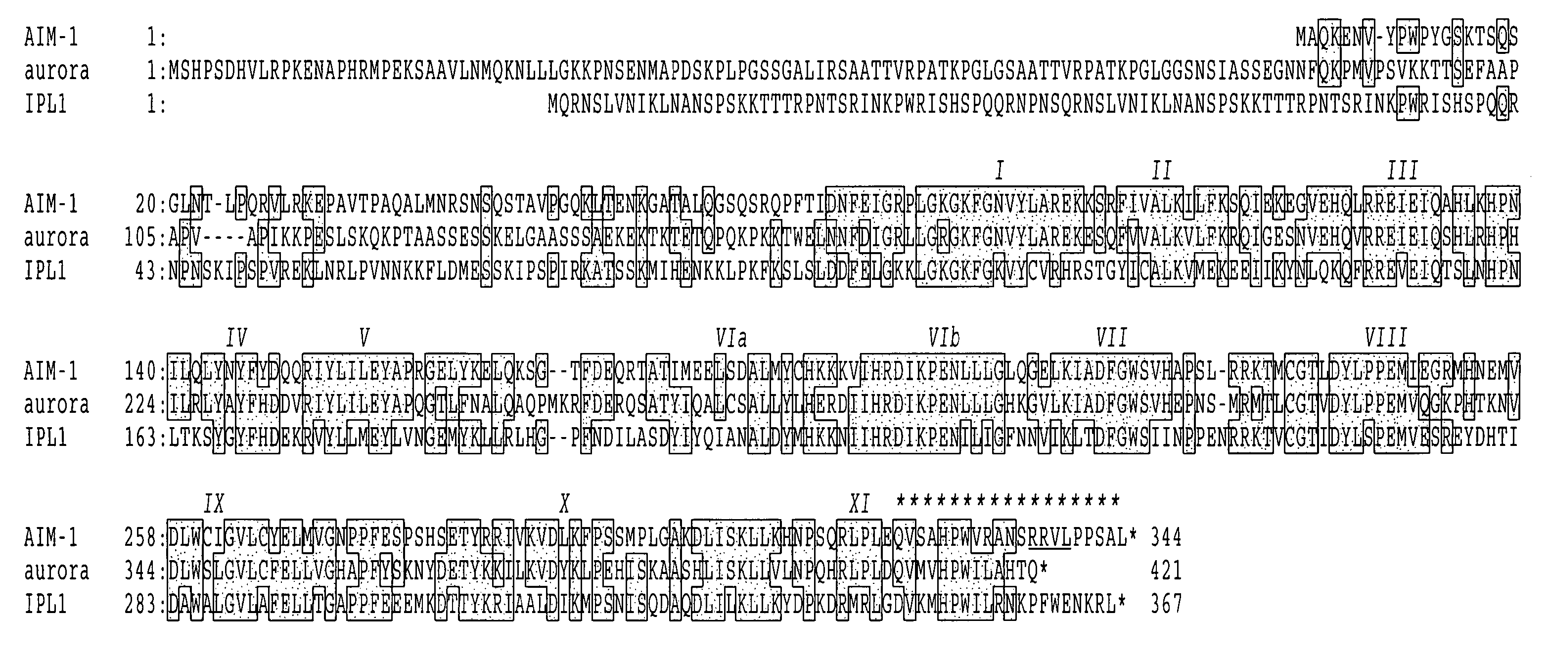 Cell cycle control protein