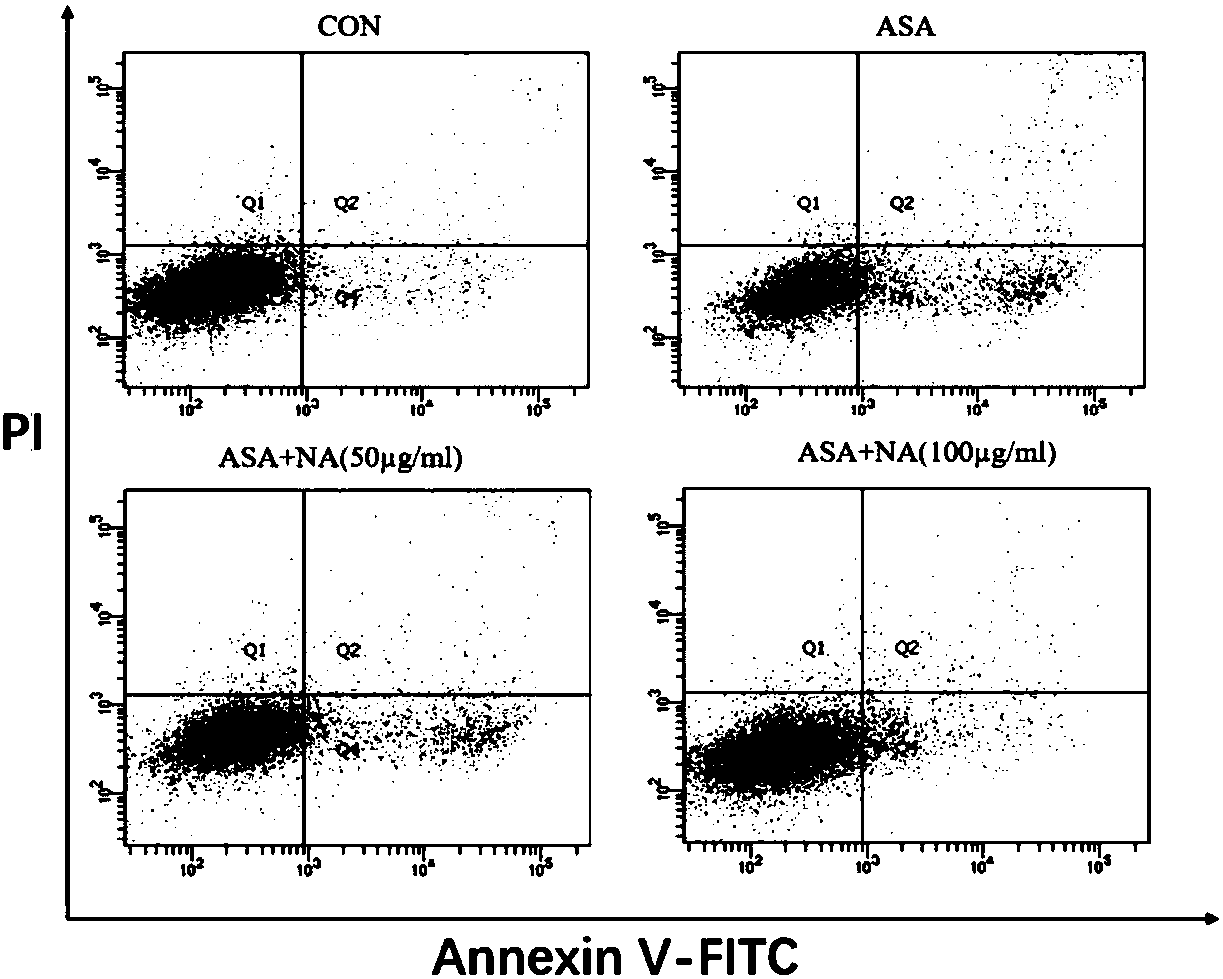 Application of anthocyanin in preparation of drugs for treating cell injury caused by arsanilic acid