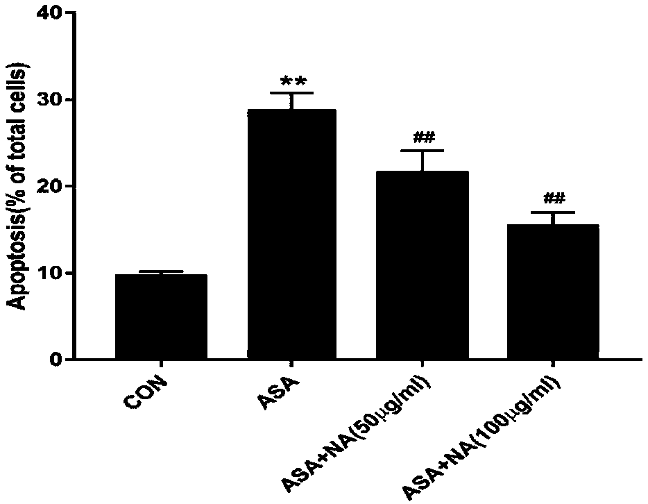 Application of anthocyanin in preparation of drugs for treating cell injury caused by arsanilic acid