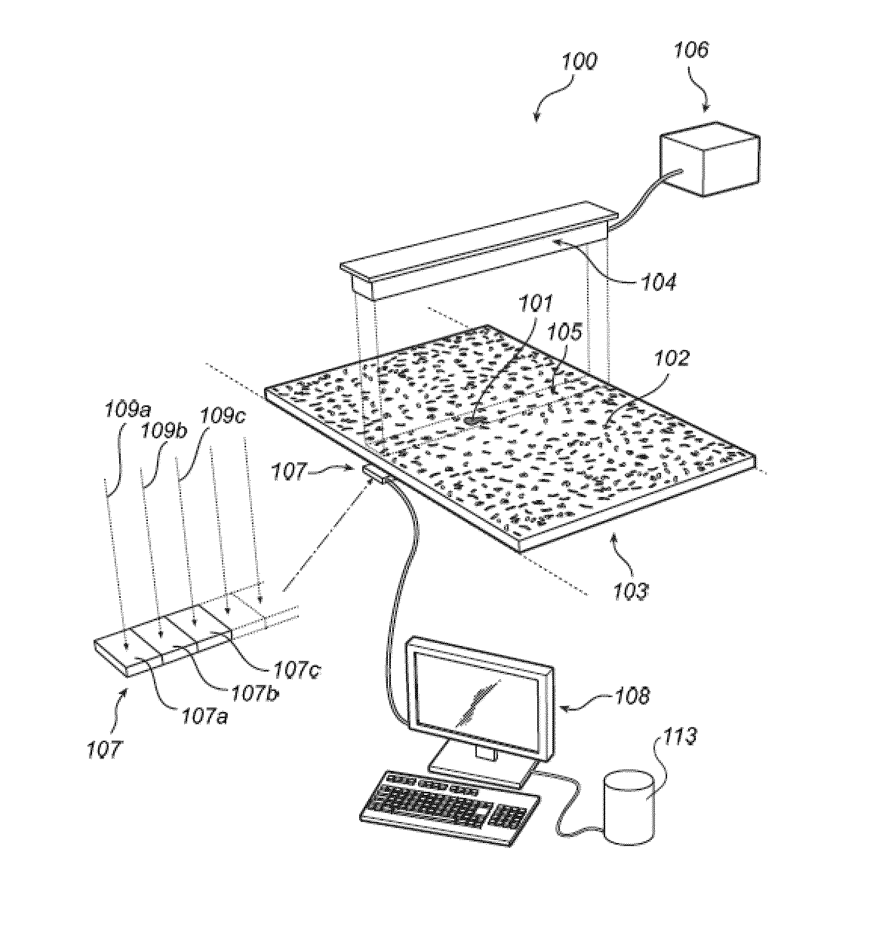 Method and apparatus for estimating the dry mass flow rate of a biological material