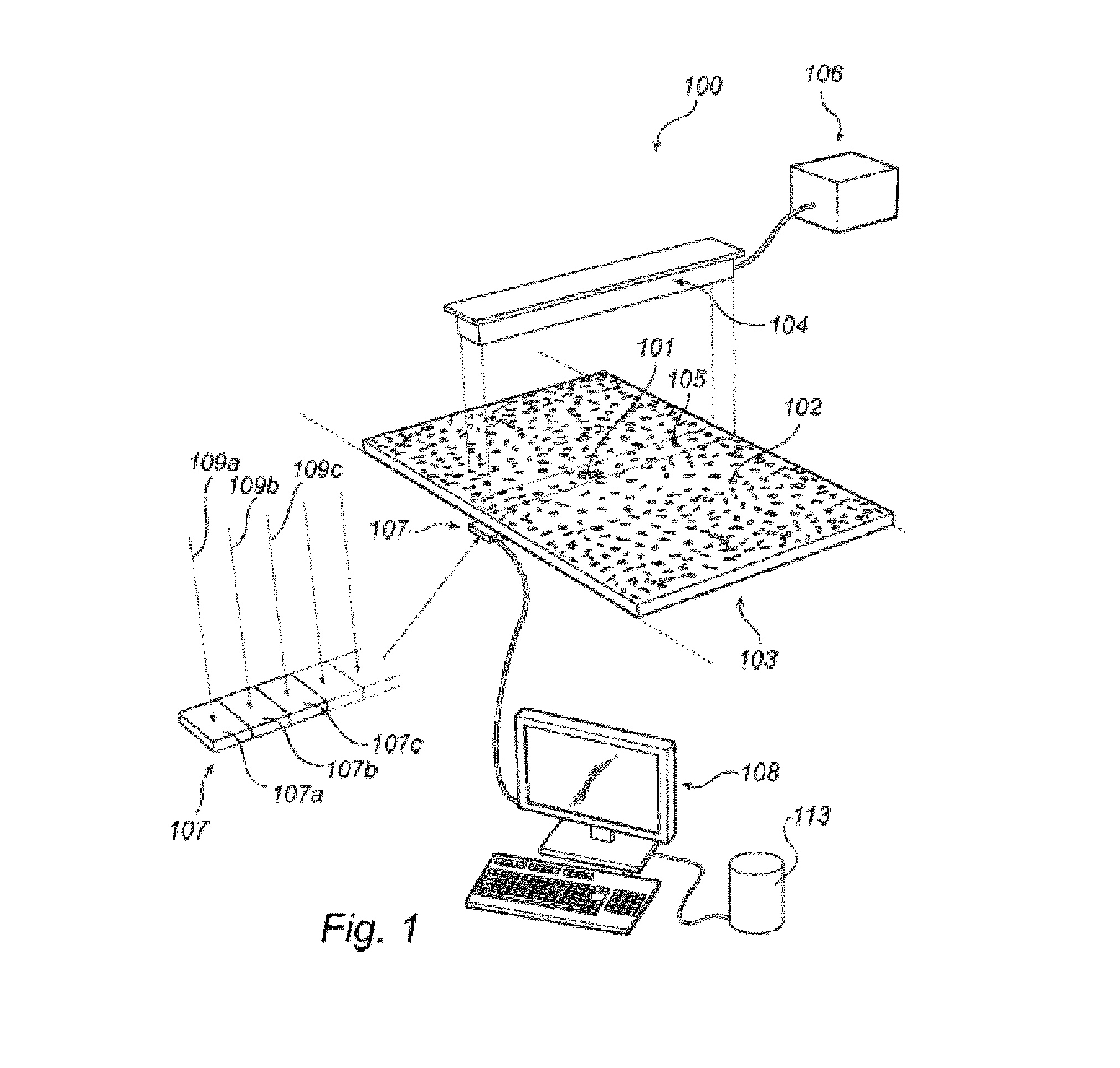 Method and apparatus for estimating the dry mass flow rate of a biological material