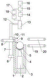 Kiwi detecting grading device