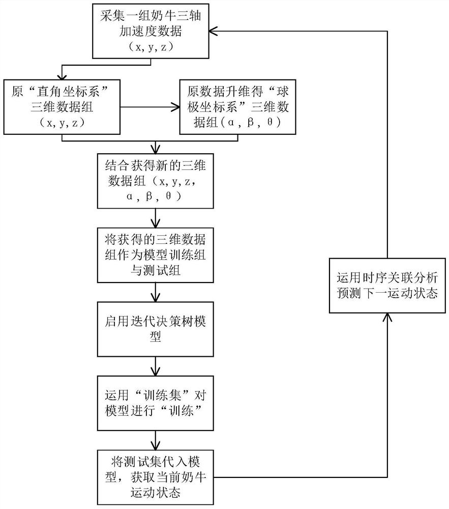 Animal motion behavior discrimination method and device based on temporal correlation analysis