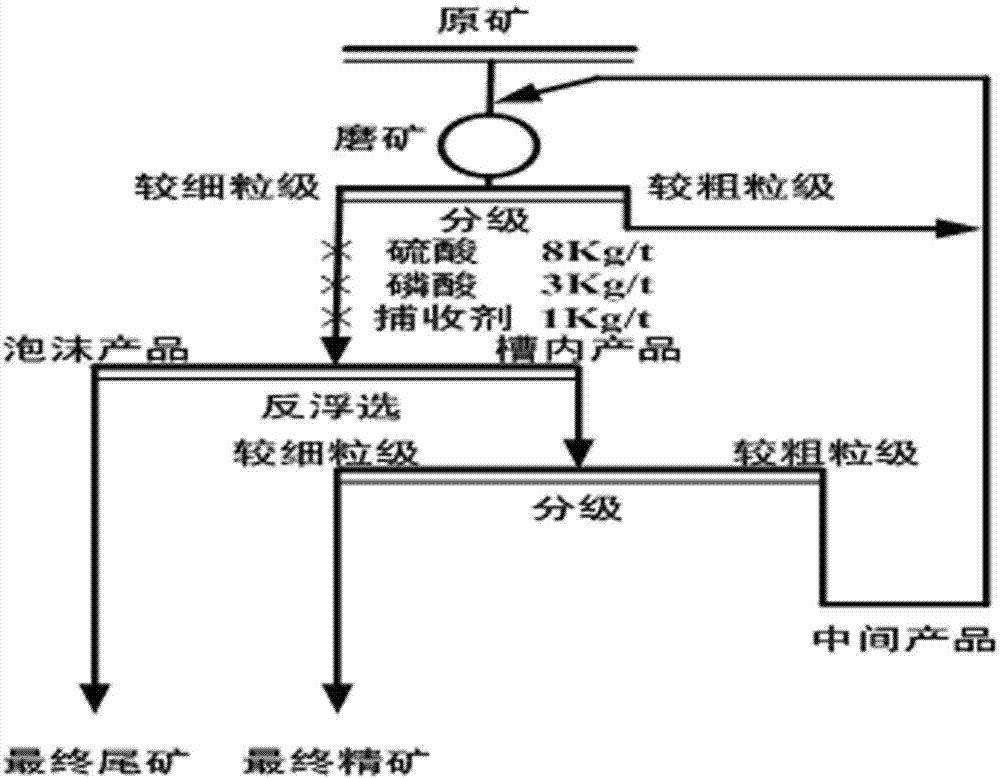 Process for reducing collophanite flotation tailing grade