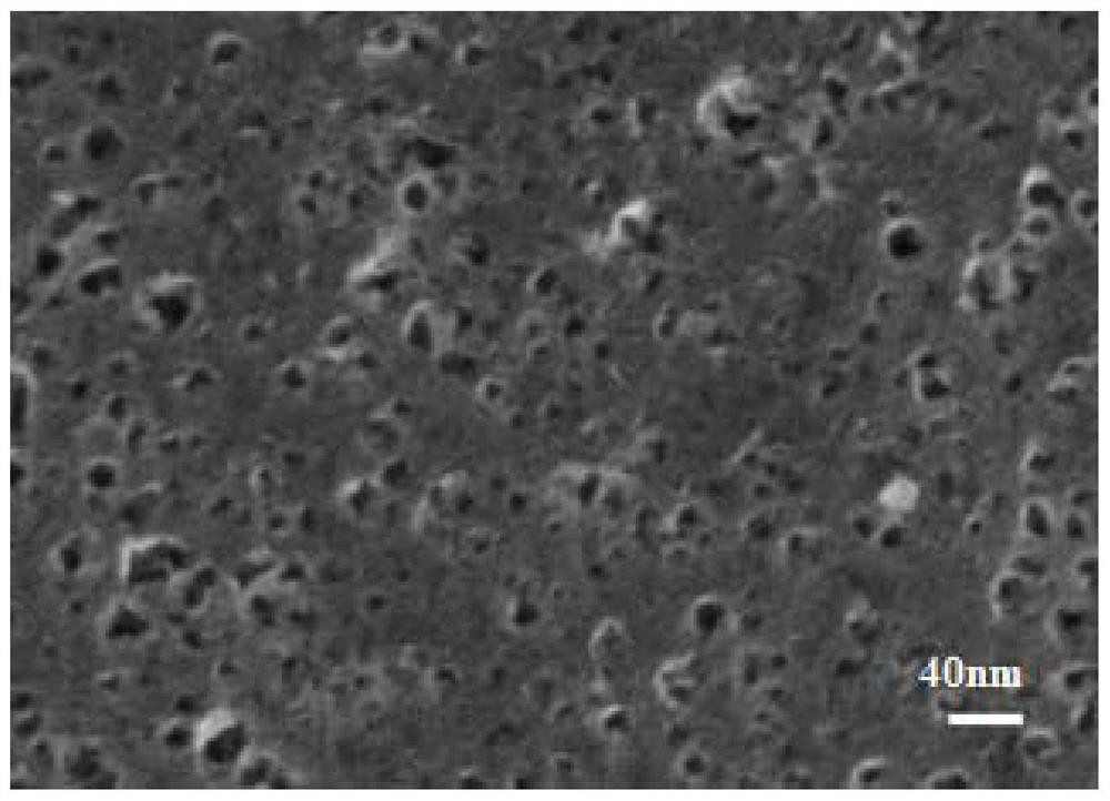 A nitrogen-doped porous carbon catalyst prepared from potatoes and its preparation and application