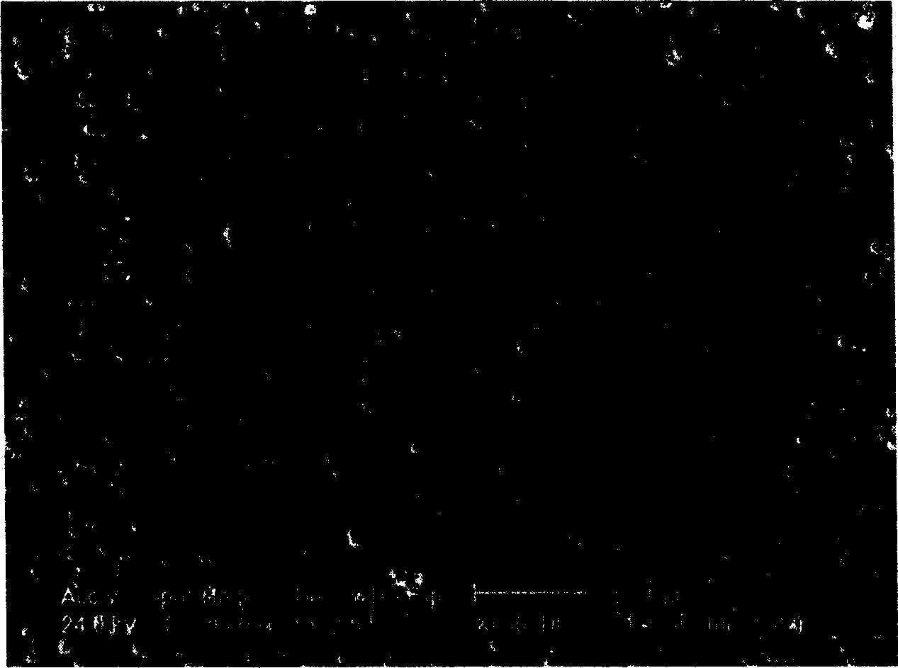 Method for simultanuously enriching desalting and appraising micro protein or polypeptide solution