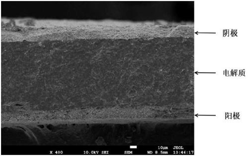 Preparation method of electrolyte-supported zirconium-based electrolyte membrane for solid oxide fuel cells