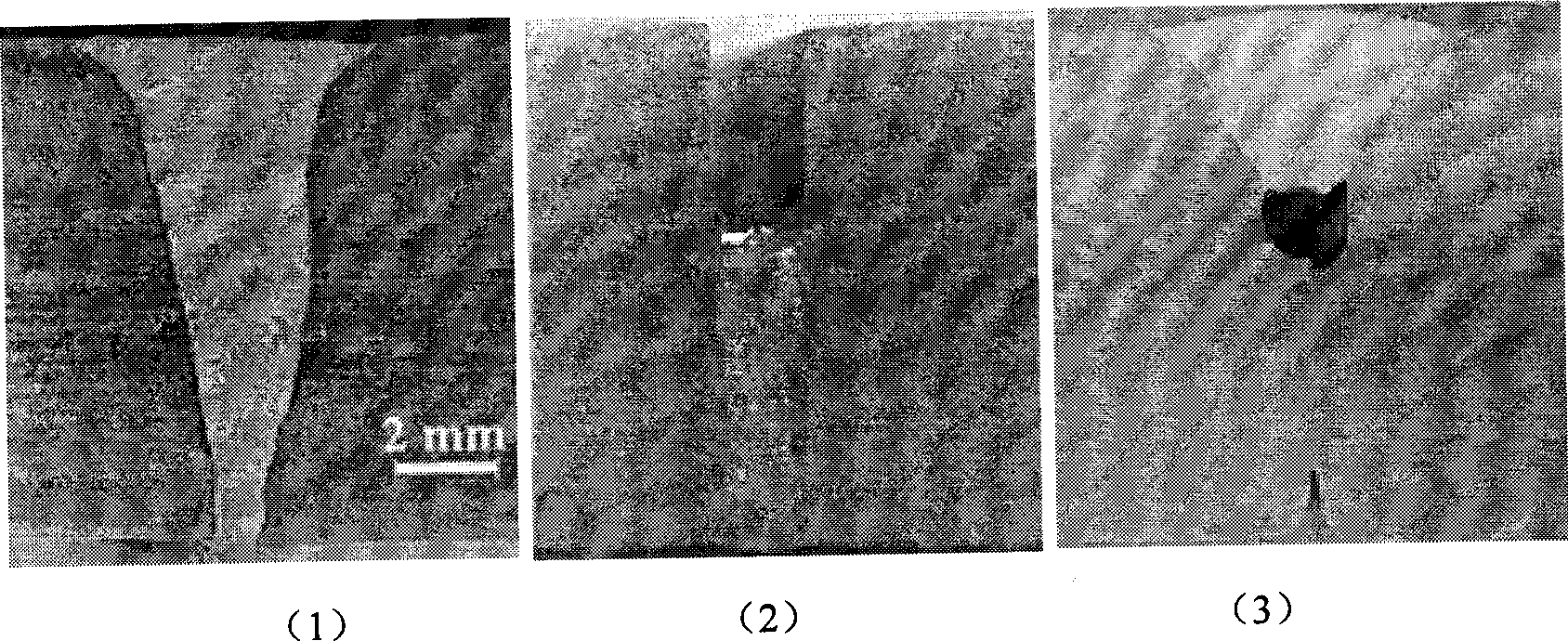 Narrow gap laser-arc hybrid welding method using filler wire