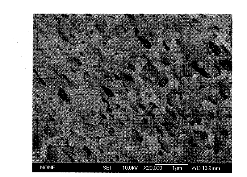 Hydrophobic separation membrane and preparation method