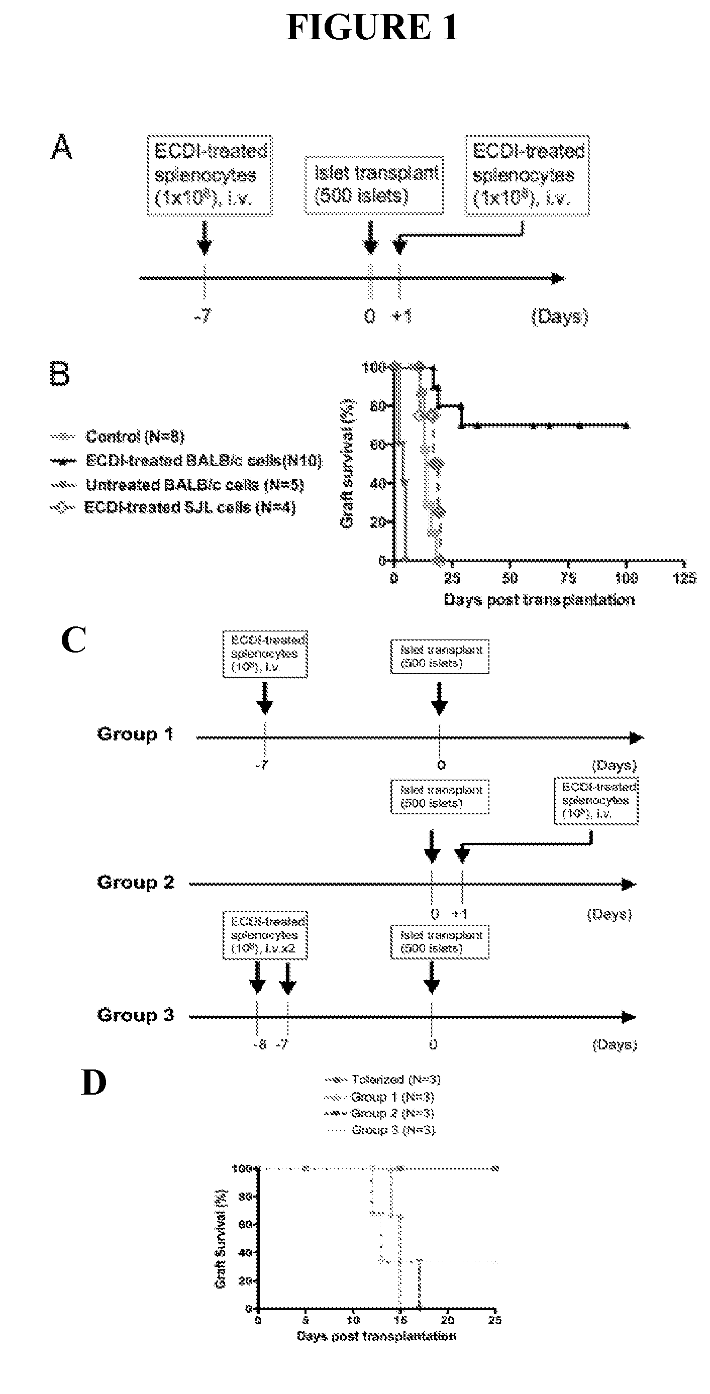 Use of ecdi-fixed cell tolerance as a method for preventing allograft rejection