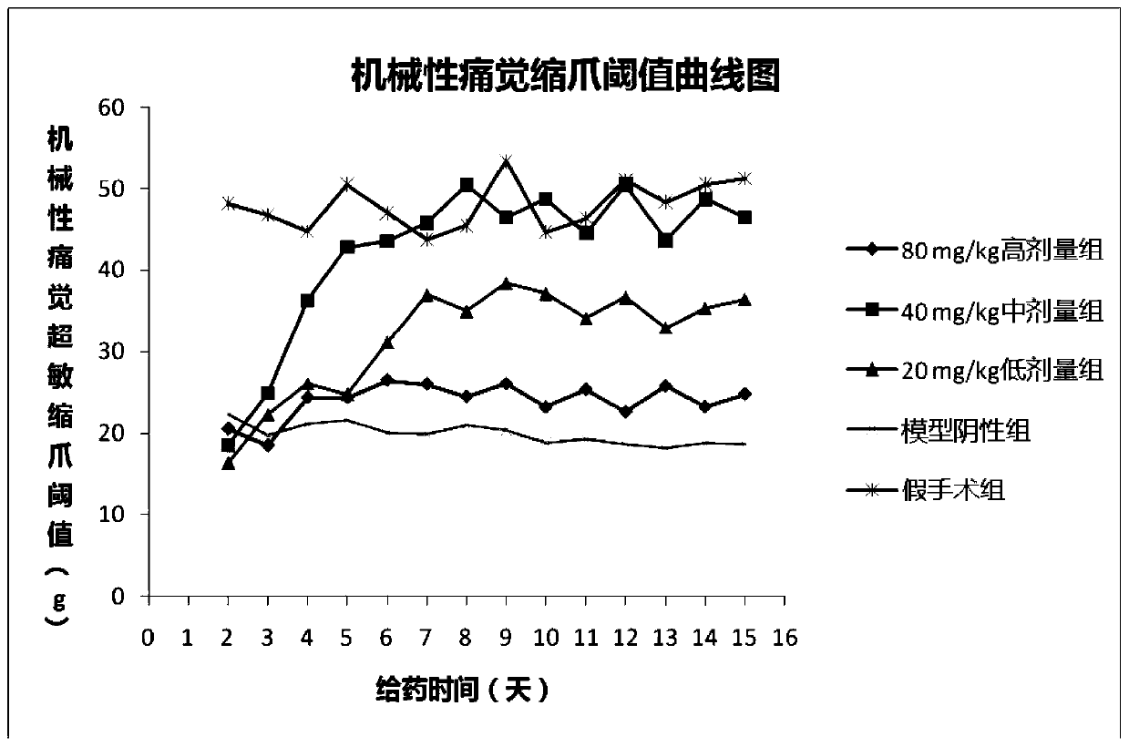 Application of chlorogenic acid in preparation of medicine or pharmaceutical composition for preventing or treating pain