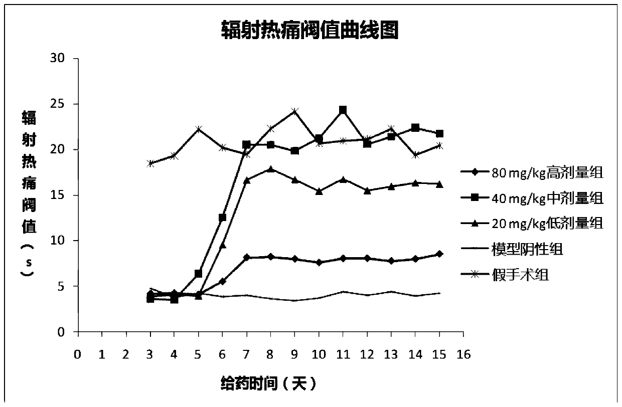 Application of chlorogenic acid in preparation of medicine or pharmaceutical composition for preventing or treating pain