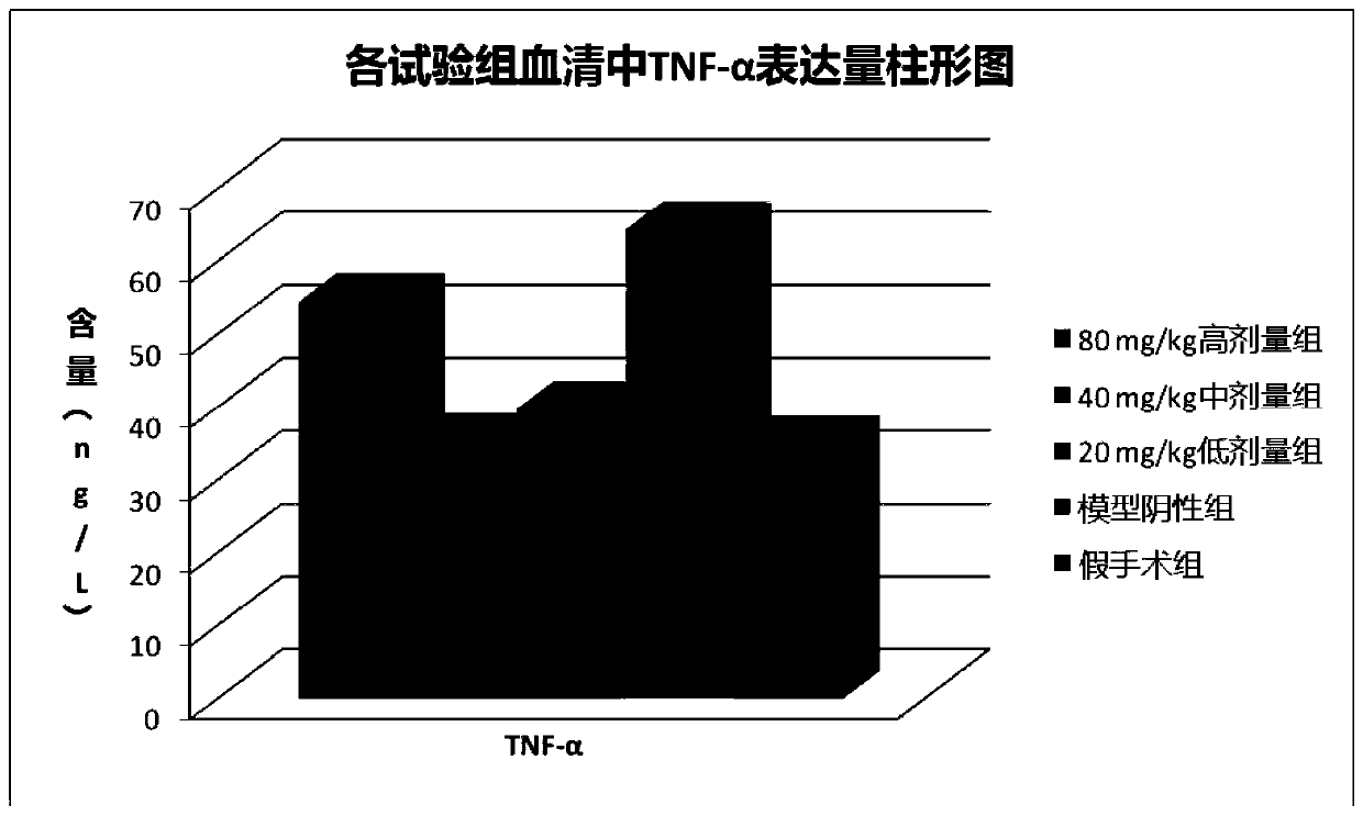 Application of chlorogenic acid in preparation of medicine or pharmaceutical composition for preventing or treating pain