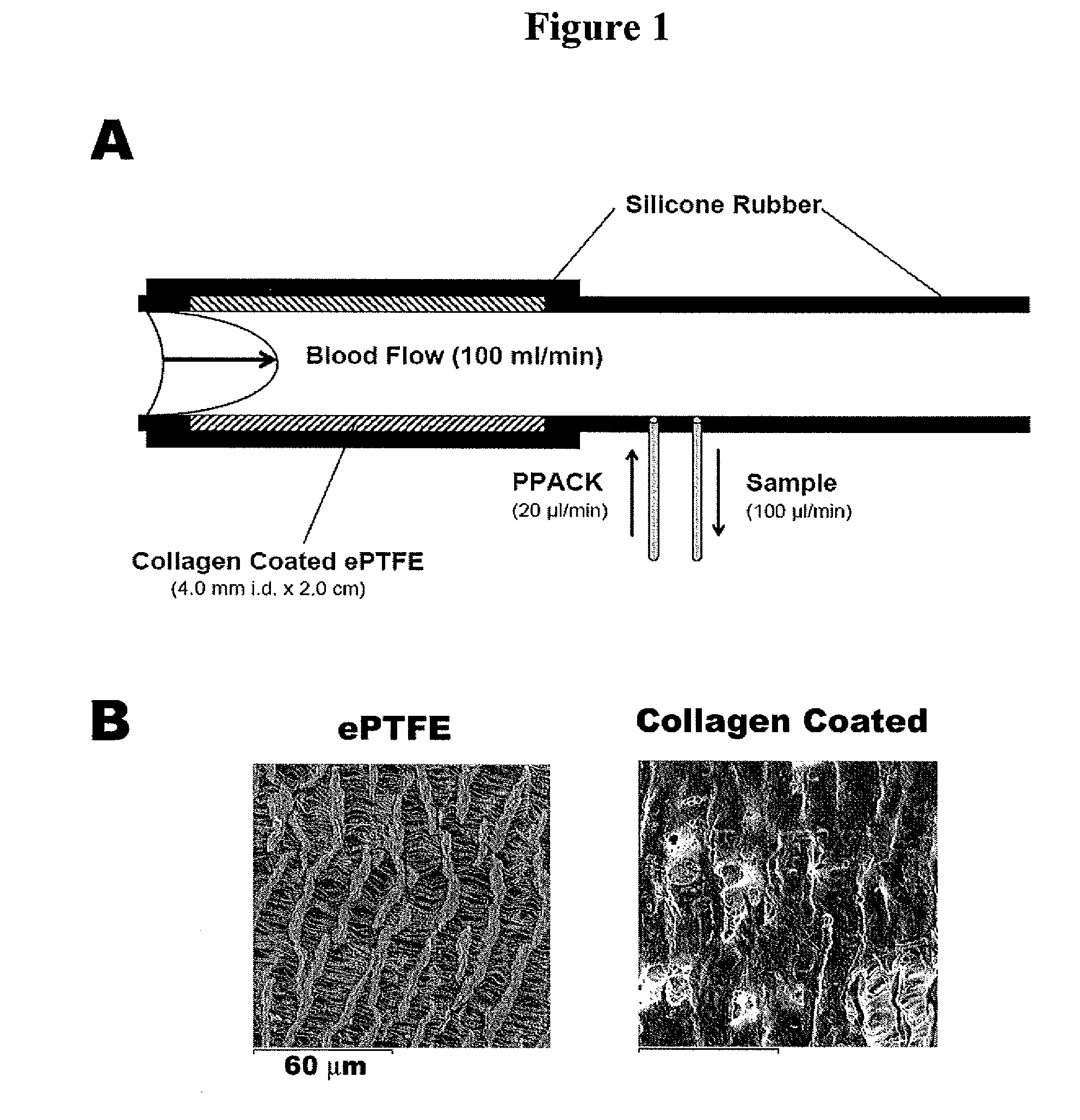 Anti-factor xi monoclonal antibodies and methods of use thereof