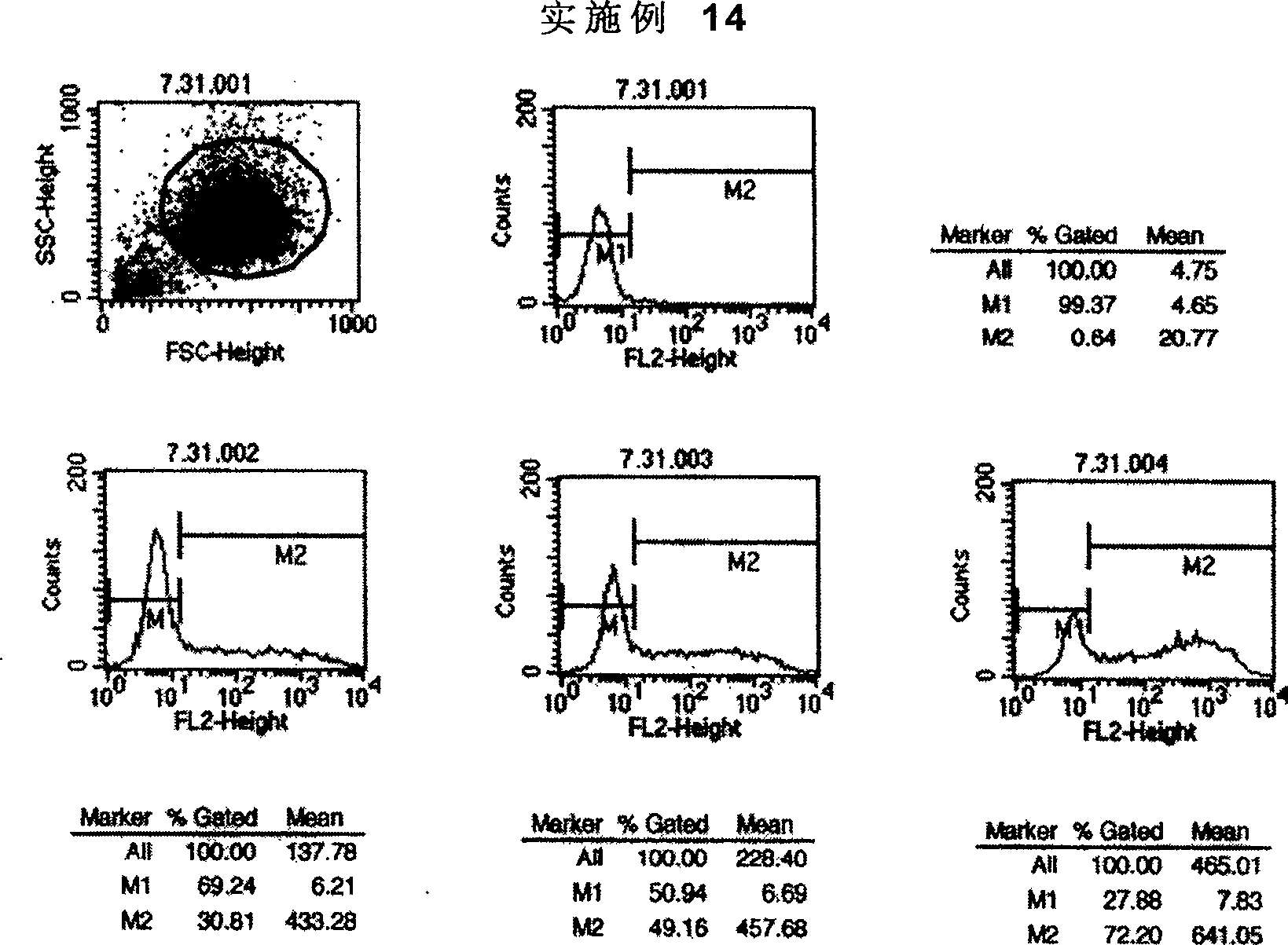 Bi-amido heterocyclic derivative with antitumour activity and its preparation method and use