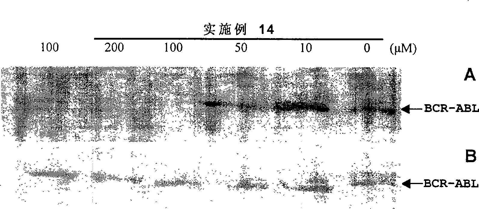 Bi-amido heterocyclic derivative with antitumour activity and its preparation method and use